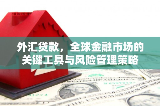 工农外汇贷款，全球金融市场的关键工具与风险管理策略