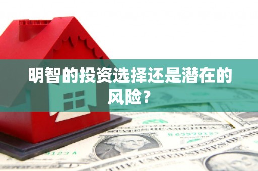 工农明智的投资选择还是潜在的风险？