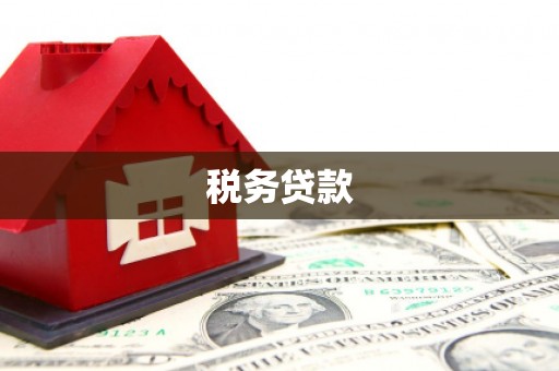 工农税务贷款