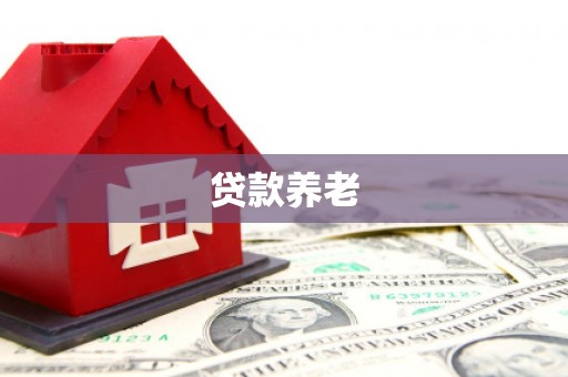 工农贷款养老