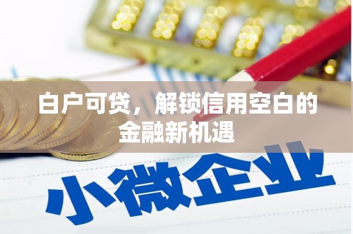工农白户可贷，解锁信用空白的金融新机遇