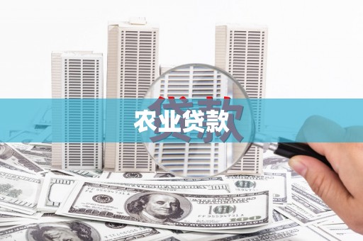 工农农业贷款