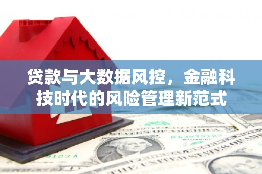 工农贷款与大数据风控，金融科技时代的风险管理新范式