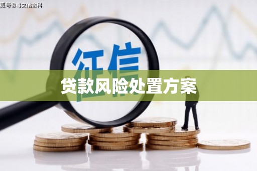 工农贷款风险处置方案