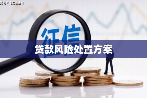 工农贷款风险处置方案