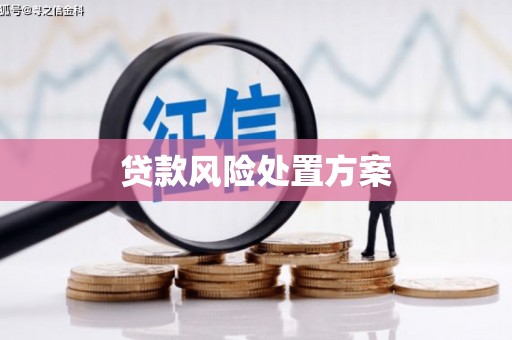 工农贷款风险处置方案