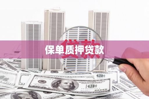 工农保单质押贷款