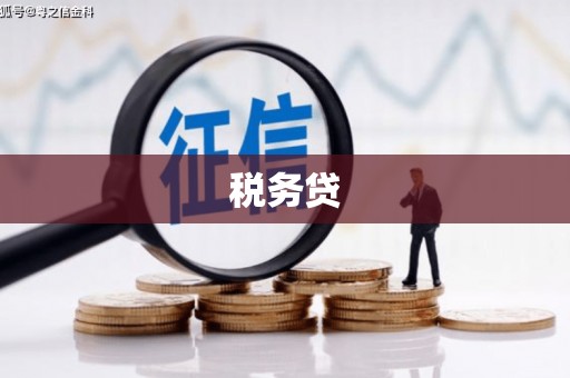 工农税务贷