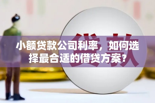 工农小额贷款公司利率，如何选择最合适的借贷方案？