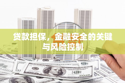 工农贷款担保，金融安全的关键与风险控制