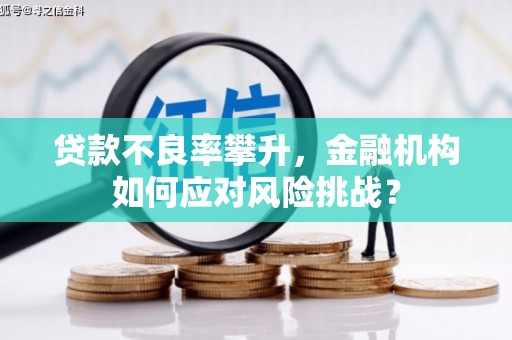 工农贷款不良率攀升，金融机构如何应对风险挑战？