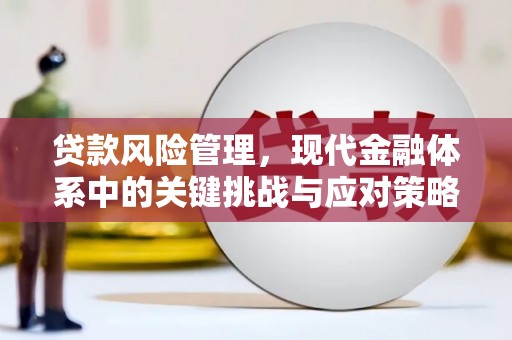 工农贷款风险管理，现代金融体系中的关键挑战与应对策略