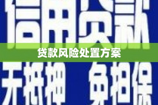 工农贷款风险处置方案