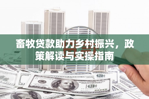 工农畜牧贷款助力乡村振兴，政策解读与实操指南