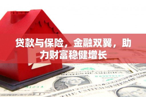 工农贷款与保险，金融双翼，助力财富稳健增长