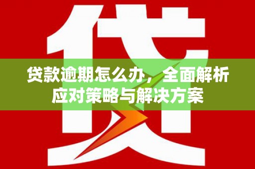 工农贷款逾期怎么办，全面解析应对策略与解决方案